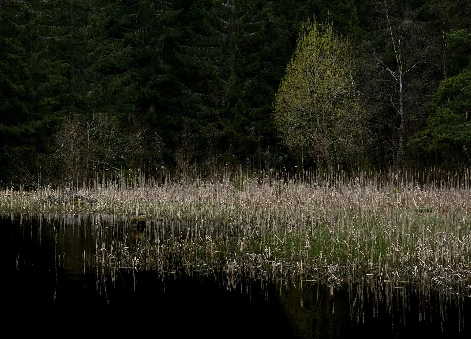 6L-8L Pot Sales Store -6L-8L Pot Sales Store Dingtalk 20230209142407