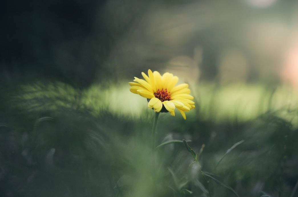 6L-8L Pot Sales Store -6L-8L Pot Sales Store Dingtalk 20230209142455