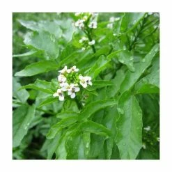 6L-8L Pot Sales Store -6L-8L Pot Sales Store PL0620 rollover image 3717