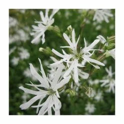 6L-8L Pot Sales Store -6L-8L Pot Sales Store PL0675 rollover image 57f9