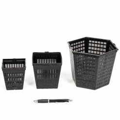 1L Papyrus - Cyperus papyrus -6L-8L Pot Sales Store PL0782 add image 2 2081