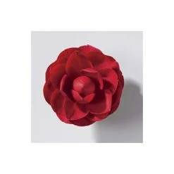 4ft Camellia 'Black Lace' | 7L Pot | Camellia Reticulata x Williamsii -6L-8L Pot Sales Store TR1002 add image 1 1aa9